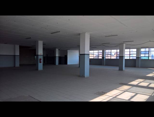 1,230M² WAREHOUSE TO LET IN WYNBERG